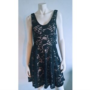 Brand NEW Stretch Lace Dress( with tags)